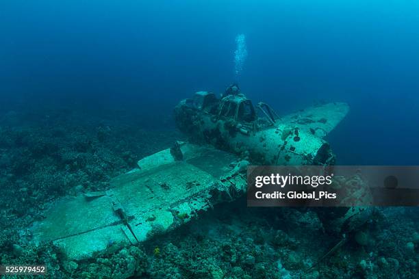 ii ww sunken airplane wreck -palau - seaplane stock pictures, royalty-free photos & images