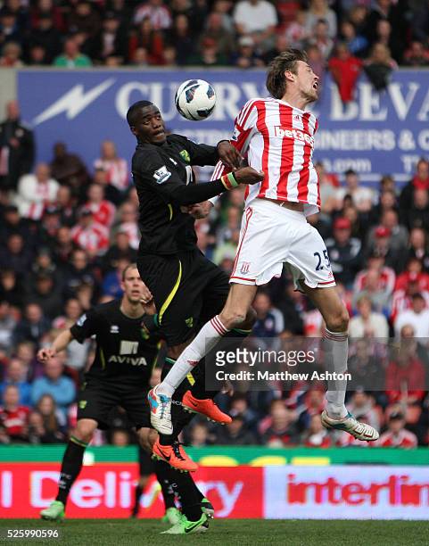 Sebastien Bassong of Norwich City and Peter Crouch of Stoke City
