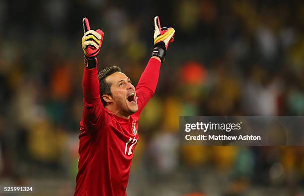 Julio Cesar of Brazil celebrates after his team scored to make it 2-1