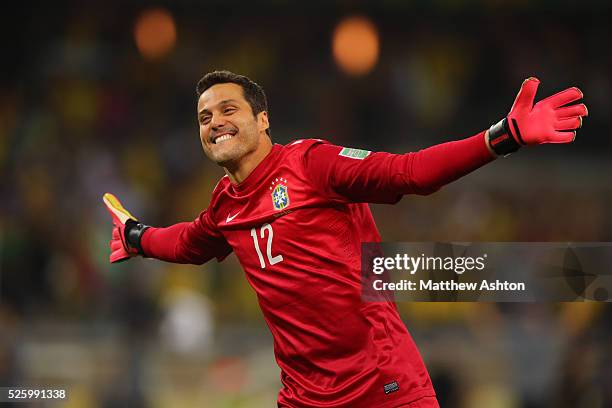 Julio Cesar of Brazil celebrates after his team scored to make it 2-1