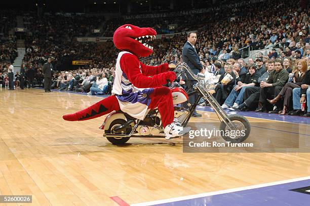 2005 Toronto Raptors 25,751 The Raptor Stock Photos, High-Res Pictures, and Images - Getty ...