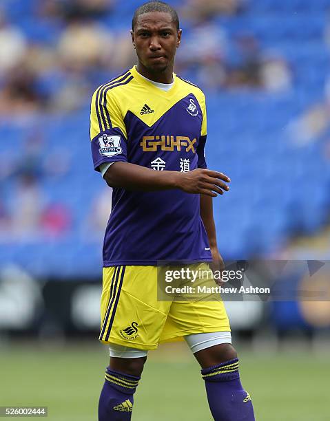 Jonathan de Guzman of Swansea City