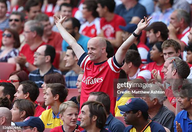 An Arsenal fan