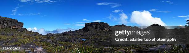 summit of mount roraima / roraima tepui - adalbertop ストックフォトと画像