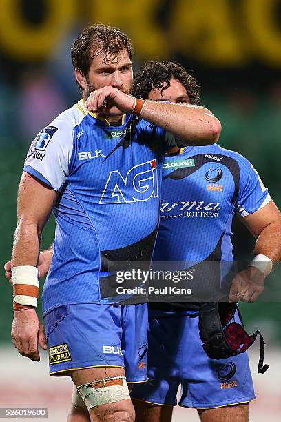 Ben McCalman of the Force looks on after being defeated during the round 10 Super Rugby match between the Force and the Bulls at nib Stadium on April...