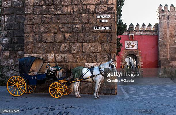 siviglia, spagna, carrozza - visita reale - fotografias e filmes do acervo