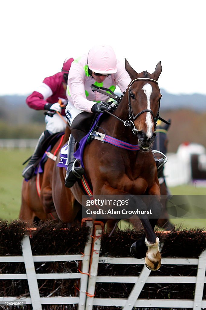 Punchestown Races