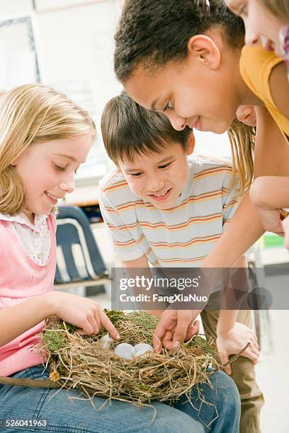 Nested Child Children Bird Nesting Photos and Premium High Res Pictures - Getty Images
