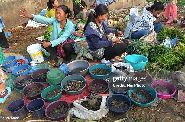 Naga woman vendor speak to a costumer as another arrange frog as they sales varieties of insects at a daily market in Dimapur, India north eastern...