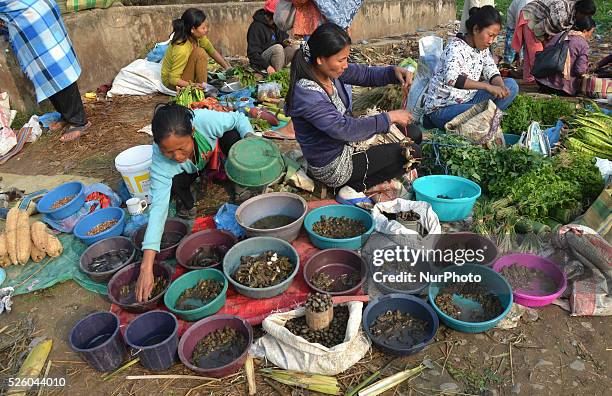 Naga women vendors arrange frog as they sales varieties of insects at a daily market in Dimapur, India north eastern state of Nagaland on Wednesday,...