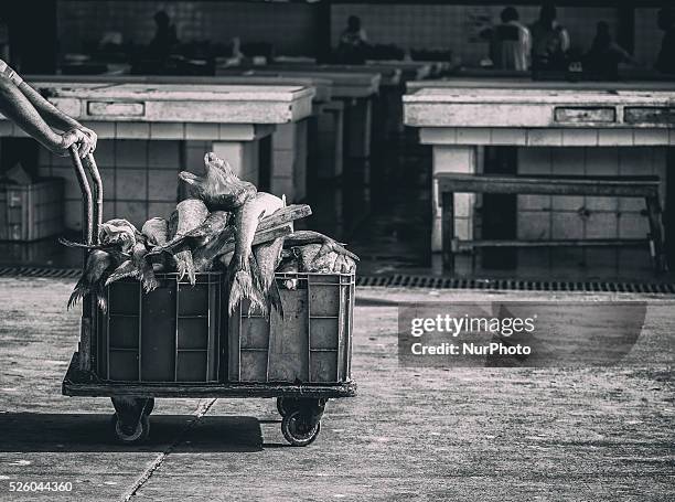 Deira fish market in Dubai on 26th February 2016. Dubai is a city in the United Arab Emirates known for luxury shopping, ultramodern architecture and...