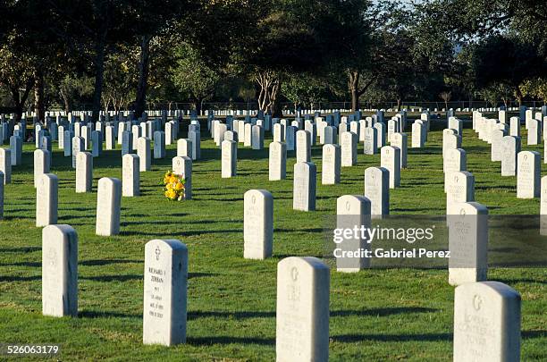 294 Fort Sam Houston Texas Stock Photos, High-Res Pictures, and Images ...