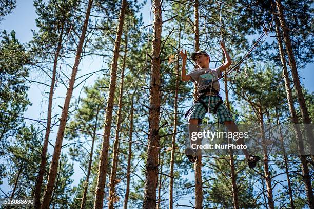 High Ropes Scouts 97 Summer Camp Ropes Course Stock Photos, High-Res Pictures, and Images ...