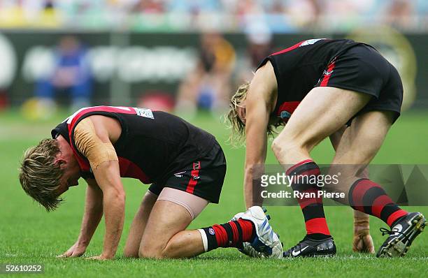 Andrew Welsh and James Hird for the Bombers recover after colliding during the round three AFL match between the Essendon Bombers and the Hawthorn...