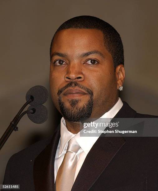 Actor Ice Cube speaks at Chrysalis' Fourth Annual Butterfly Ball at a private residence April 9, 2005 in Bel Air, California.