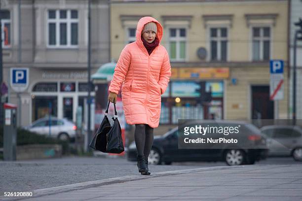 November 2015 - Near the end of autumn winter temperatures hit central Poland. At night temperatures reached wel below zero while during the day the...