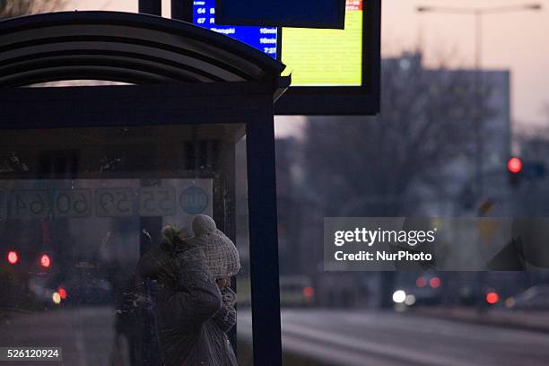 November 2015 - Near the end of autumn winter temperatures hit central Poland. At night temperatures reached wel below zero while during the day the...