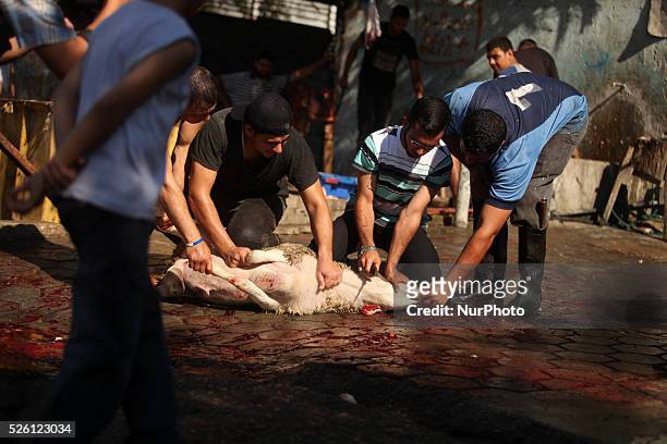Palestinian butchers cut the meat of goat after slaughtered on the first day of Eid al-Adha or or the feast of sacrifice on October 4, 2014. Muslims...
