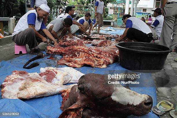 Indonesian people splitting a part of the body of a cow to sacrifice for them to celebrate Eid al-Adha in Medan, North Sumatra, Indonesia, 5 October...