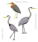 Bird Heron Set Cartoon Vector Illustration