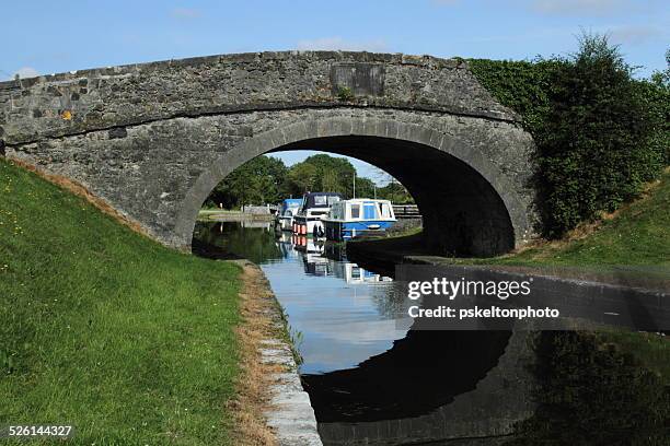 grand canal - shannon river stock pictures, royalty-free photos & images