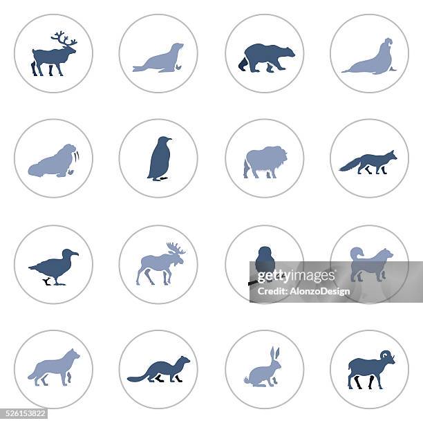 stockillustraties, clipart, cartoons en iconen met polar animals icon set - sledehond