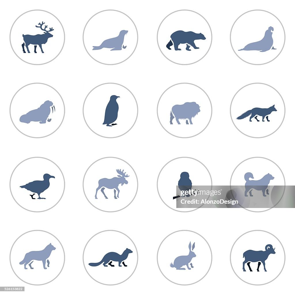 Polar Animals Icon Set