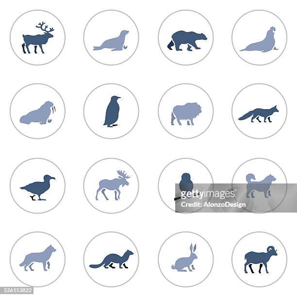 polar animals icon set - in silhouette zoo animals stock illustrations