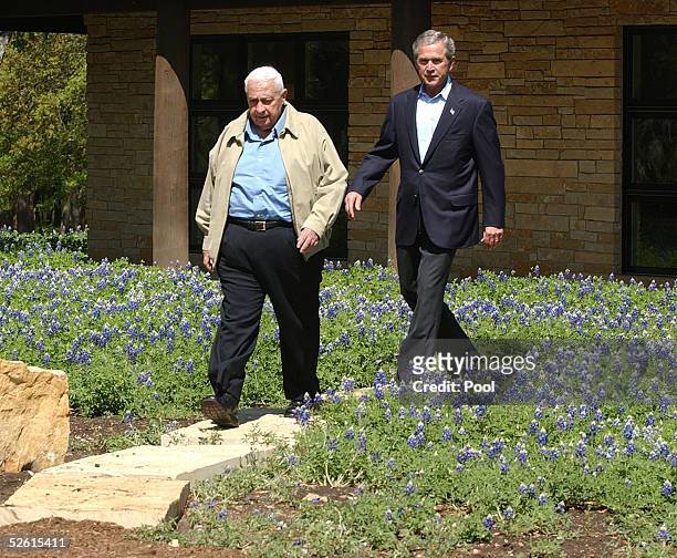 President George W. Bush walks with Israel's Prime Minister Ariel Sharon along a pathway lined with wild Bluebonnets following a joint news...