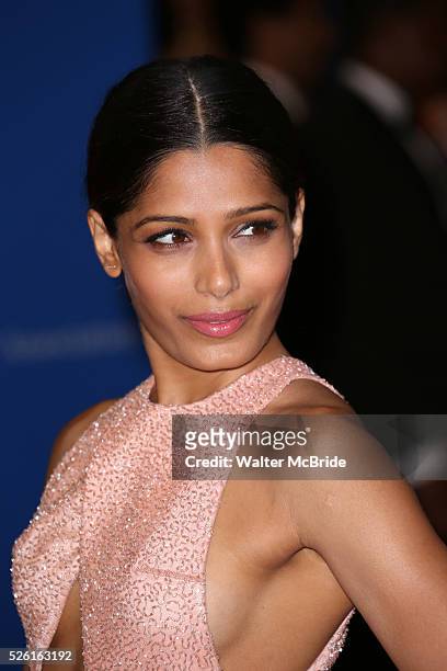 Freido Pinto attends the 100th Annual White House Correspondents' Association Dinner at the Washington Hilton on May 3, 2014 in Washington, D.C.