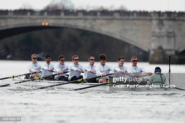 Cambridge Blue boat crew during the 159th University Boat Race between Oxford & Cambridge University, crew: Grant Wilson, Milan Bruncvik, Alex...