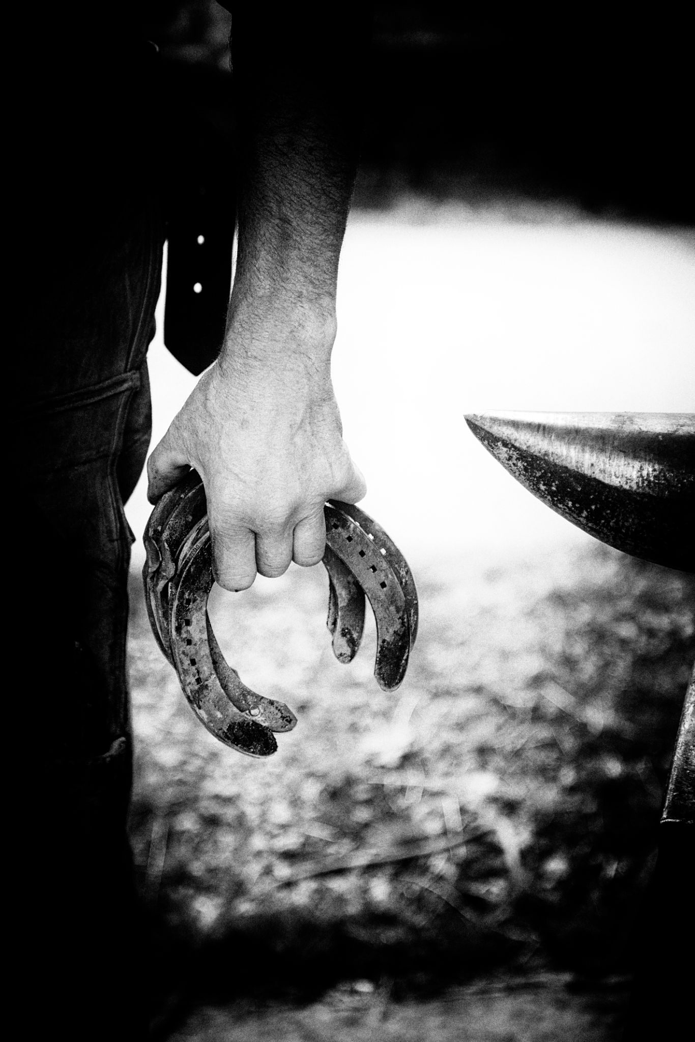 horse farrier tools