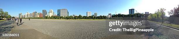 pathway to imperial palace, tokyo, japan - the big pineapple stockfoto's en -beelden