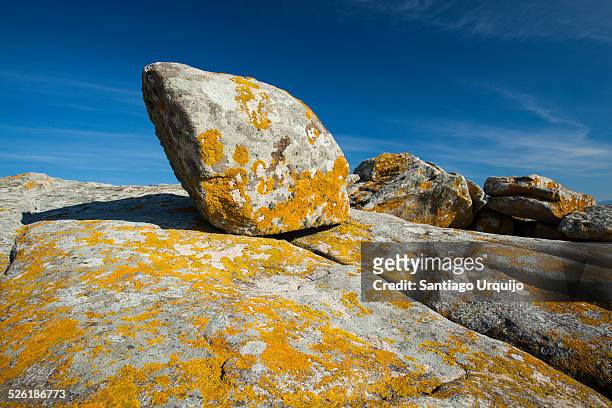 rock formations with lichens - lachen photos et images de collection