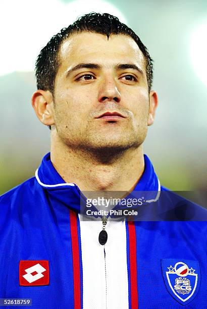 Portrait of Dejan Stankovic of Serbia & Montenegro prior to the the World Cup Qualifier Group Seven match between Serbia & Montenegro and Spain at...