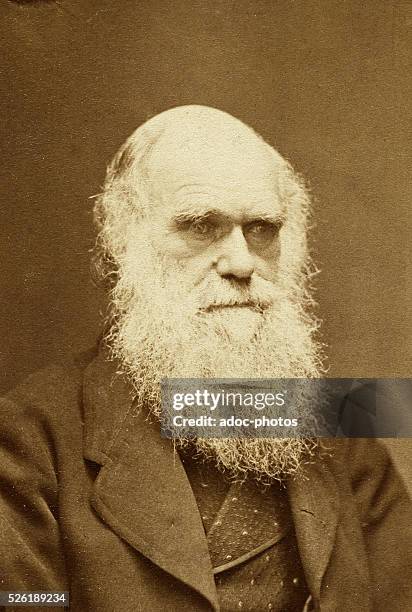 Charles Darwin . English naturalist and author of the theory of evolution. Ca. 1875.