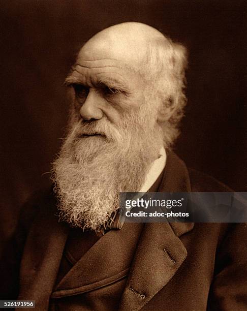 Charles Robert Darwin , English naturalist born in Shrewsbury . In 1877.