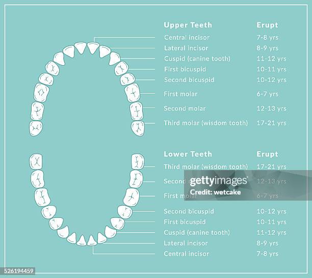 Teeth Normal Range Color 214 Teeth Color Chart Stock Photos, High-Res Pictures, and Images ...