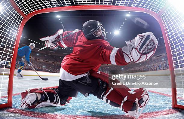 ice hockey player scoring - hockey goalkeeper stock pictures, royalty-free photos & images