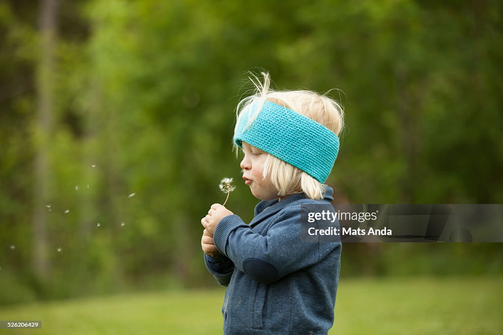 Boy with long hair blowing dandelion seed