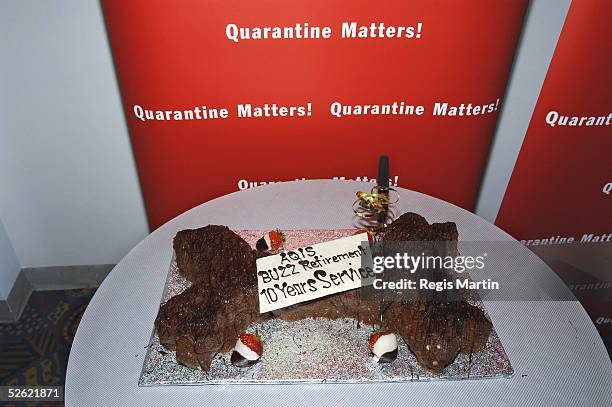 One of the many cakes at Buzz's farwell party April 13, 2005 in Darwin, Australia. After ten years of services, Quarantine Detector Dog Buzz is...