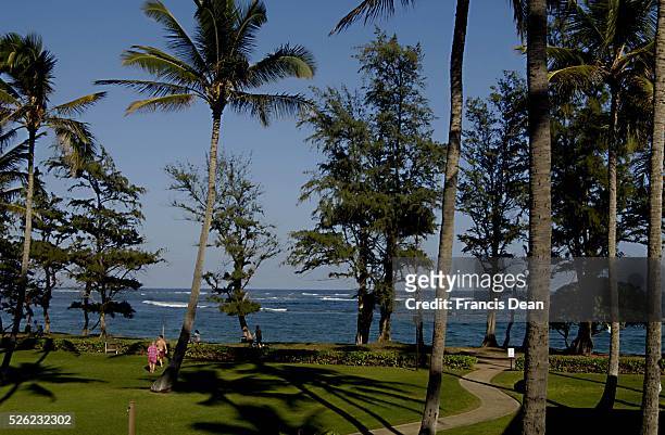 View of Pono kai resort at Kapa'a beach park at Kauai Island on Hawaii 29 Dec. 2012