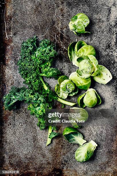 brussel sprouts and kale - rosenkohl stock-fotos und bilder