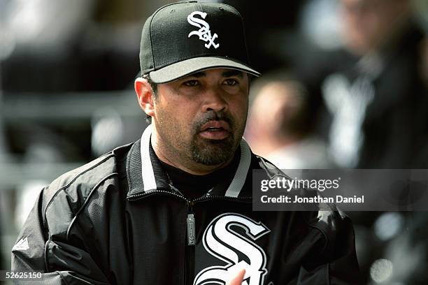 Manager Ozzie Guillen of the Chicago White Sox stands in the dugout during the game with the Cleveland Indians on April 7, 2005 at U.S. Cellular...