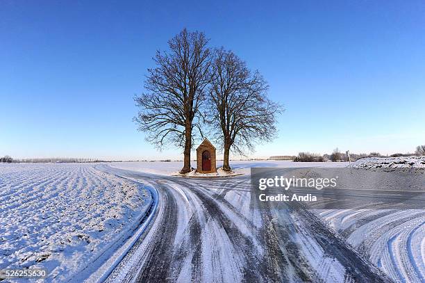 Country roads covered with snow. The oratory situated at the crossroads of Sameon and Rumegies surrounded by two trees. Scarpe-Escaut Regional Nature...