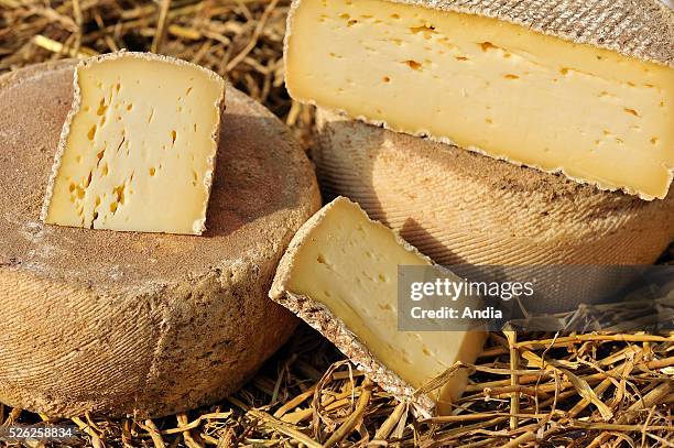 Cheese making in the farmers' economic interest group "GAEC Sellier" at Champigneul sur Vence : "tomme ardennaise" cheese, produced in the Ardennes...