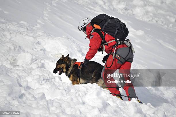 Mountain rescue exercise in the Haute-Savoie department by the "GMSP" team , avalanche rescue exercise. Firefighter and mountain rescue dog.