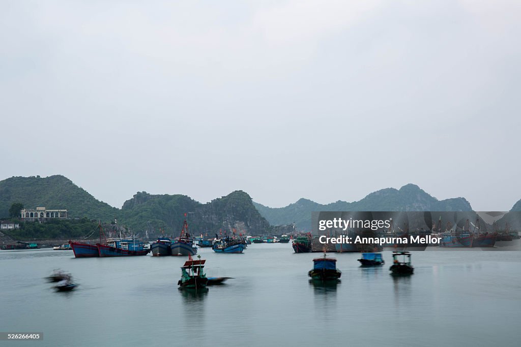 Boats in the Cat Ba Island harbour, Vietnam