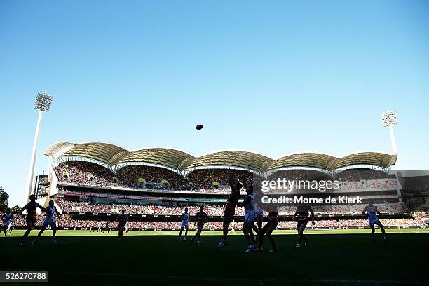 General view during the round six AFL match between the Adelaide Crows and the Fremantle Dockers at Adelaide Oval on April 30, 2016 in Adelaide,...