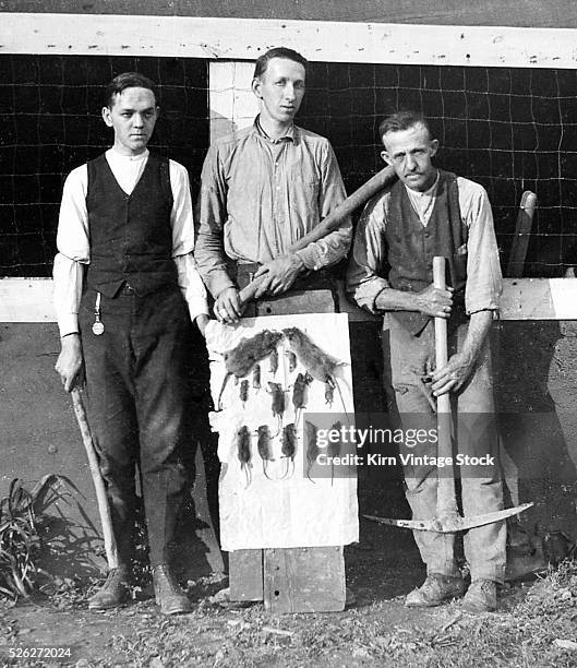 Three men with garden weapons proudly stand by a board with dead rats and mice.